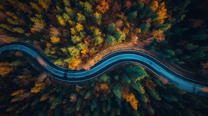Serpentine road through autumn forest