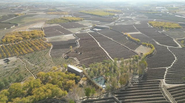Zabul Province, Afghanistan. Drone Shot of Agricultural Fields and Village Homes on Sunny Day, Landscape and Homes