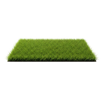 A small rectangular patch of green grass on a black background