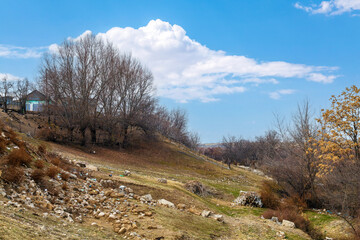 Hillside with a few trees and a house in the distance