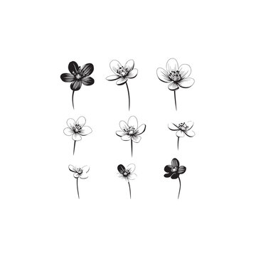 Hepatica Americana icon line art nature 