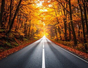 Long asphalt road passing through vibrant autumn foliage