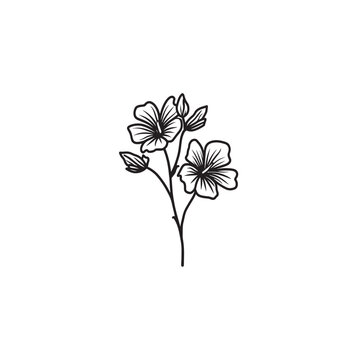Indian Mallow icon line art herbal illustration 