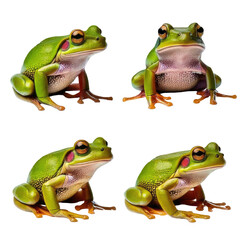 Four green frogs in different poses on a black background