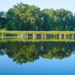 A small river or lake with blue water and a green forest on the shore under a blue sky. Summer landscape