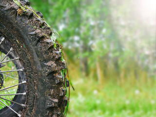 Muddy off-road wheel for motorcycle or mountain bike closeup. Dirty tire with grass against green nature background. Adventure and journey concept.