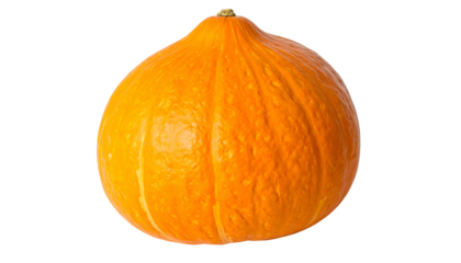 A vibrant orange pumpkin on a black background, showcasing its textured skin