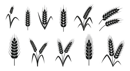 A collection of various wheat stalks depicted in a striking black and white silhouette