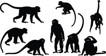 Collection of monkey silhouettes featuring primates in various poses including sitting jumping climbing and walking for wildlife graphic design projects