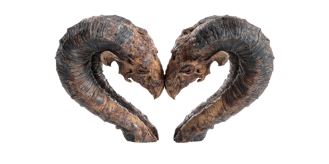 Two weathered skulls with curling horns, arranged in a heart shape, isolated on black