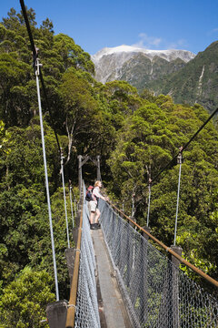 Woman hiking on swing bridge at Alex Knob Trail Franz Josef Glacier Valley