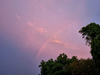 Soft pastel sunset sky with faint rainbow above dark tree silhouettes creating peaceful evening mood