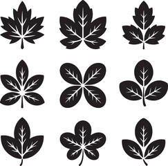 Obraz premium Collection of various black leaf silhouettes on white background
