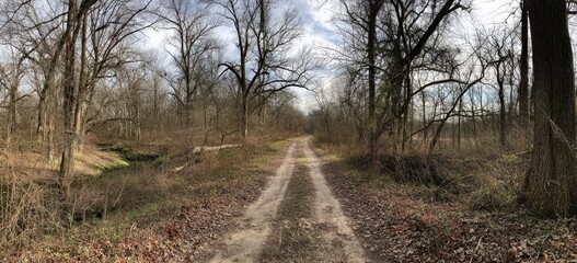 Rustic Dirt Path Winding Through Bare Autumn Woods Beside a Serene Forest Stream.