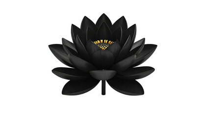 Obraz premium A stunning, isolated black lotus flower, with yellow center, against a completely dark background