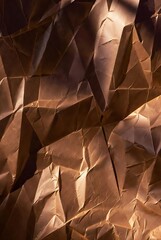 Textured brown crumpled paper surface with dramatic lighting and shadows, creating an abstract backdrop