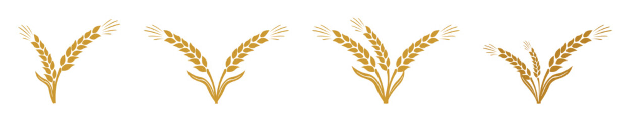 grain wheat icon