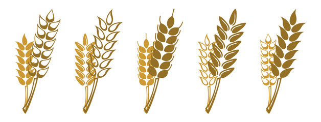 grain wheat icon