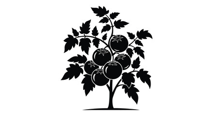 A striking black and white illustration of a tomato plant with ripe fruit a beautiful silhouette
