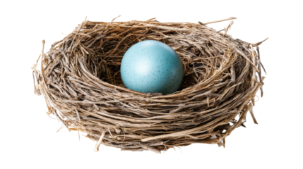 A single vibrant blue egg rests in a carefully constructed birds nest, perfect for symbolizing new beginnings, nature, and growth in various projects.