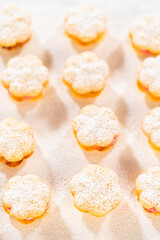 Lemon Spritz Cookie Sandwich with Cranberry Buttercream