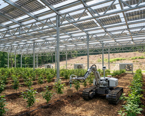 Modern farming robot with an arm harvesting agricultural products automatically