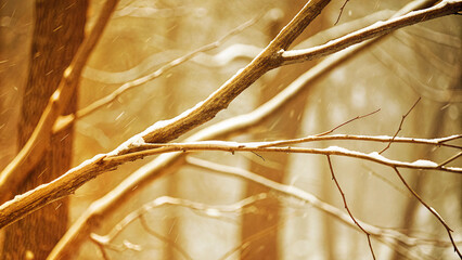 Rainy Winter Forest Scene with Coffee Branch and Steam Border