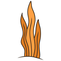 marine plants illustration