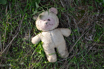 Oso de peluche abandonado