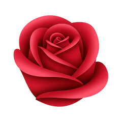 Crimson Bloom of Devotion: A velvety, radiant red rose unfurls its delicate petals, a classic symbol of love and beauty. Embracing its captivating charm and beauty.