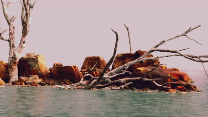 In the twilight glow, a rocky shoreline emerges from calm waters, adorned by bare trees. The vibrant hues create a serene atmosphere, offering a perfect escape into natures beauty.