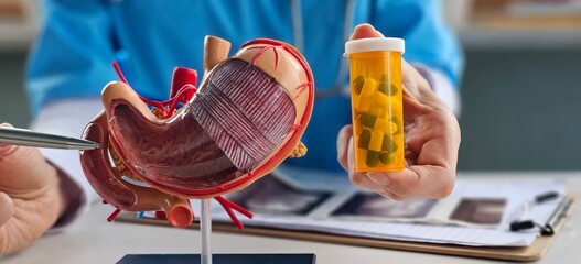 Doctor anatomy stomach holds pills. Pills for stomach concept