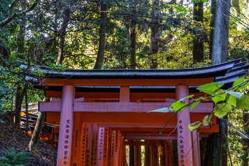 Kyoto in Japan © Stephan Sühling