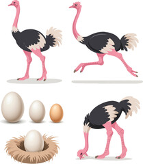 Naklejka premium set of cartoon birds