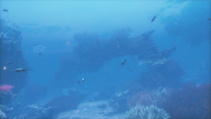 Underwater view reveals a vibrant ecosystem with various fish swimming among colorful coral reefs.