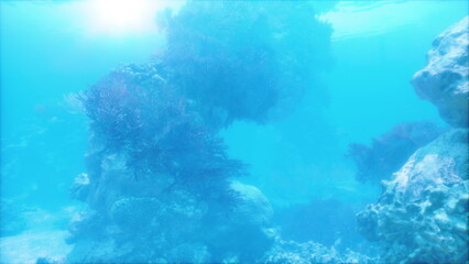 Sunlight beams penetrate the clear blue water, illuminating vibrant coral formations. Marine life thrives among the rocks, creating a serene underwater paradise for explorers.