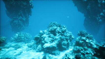 Underwater scene showcases a stunning coral reef teeming with marine life. Sunlight dances on the clear turquoise water, illuminating the fascinating rock formations.