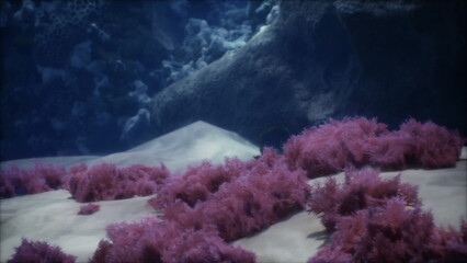 Beneath the waves, a captivating landscape unfolds with lush purple seaweed swaying gently in clear blue waters. Sunlight filters through, creating a serene aquatic atmosphere.