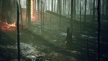 Dark trees stand tall amidst a clearing as fire flickers in the background. Shadows dance along the ground, creating an eerie atmosphere at twilight in the woods.