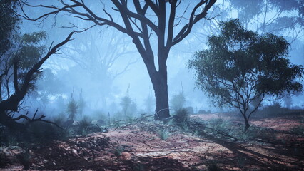 A tranquil forest scene emerges as soft blue light filters through tall trees. Mysterious fog envelops the ground, creating an enchanting atmosphere in the cool morning air.