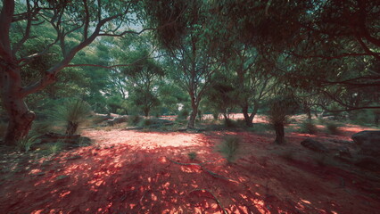 Sunlight filters through the lush green canopy, illuminating the forest floor with warm hues. A serene path invites exploration among the trees and soft foliage.