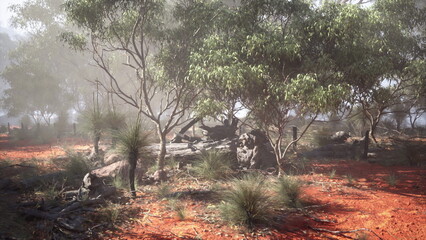 In a serene Australian setting, vibrant greenery contrasts against the rich red soil. Mist hangs softly in the early morning, creating a peaceful atmosphere among the trees and rocks.