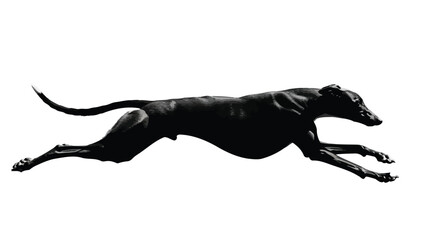 Black Silhouette of a Running Greyhound Dog Isolated on White Background