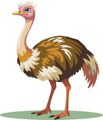 Naklejka premium ostrich cartoon isolated on white