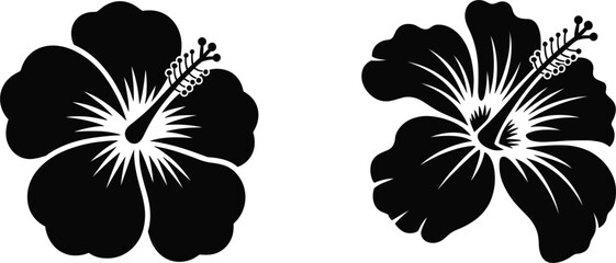 Black hibiscus flower silhouettes set, exotic tropical bloom illustrations, for summer vacation and floral design © Majnur