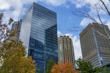 Obraz premium Herbst in Osaka und im Minoh Park