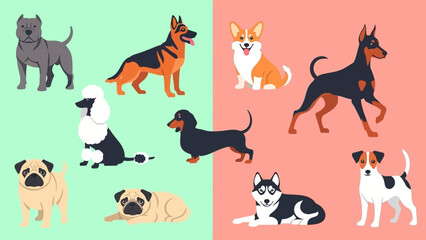 A variety of dog breeds depicted in a colorful, divided illustration
