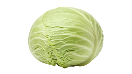 Fresh light green cabbage isolated PNG, healthy vegetable for salads and cooking, nutritious ingredient on transparent background