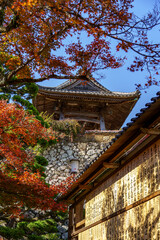 Fototapeta premium Osaka und der Minoh Park in Japan