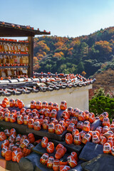 Osaka und der Minoh Park in Japan